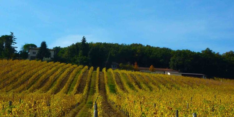 Un itinerario nell’Umbria del vino