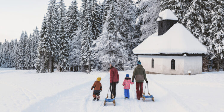 Cinque buoni motivi per sciare in Slovenia