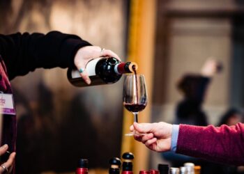 Dal 4 al 6 marzo a Torino la prima edizione del Salone del vino