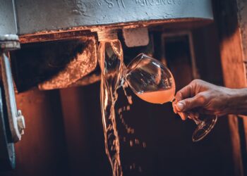 Torna DiVinNosiola, l’appuntamento nel Garda Trentino con il “passito dei passiti”