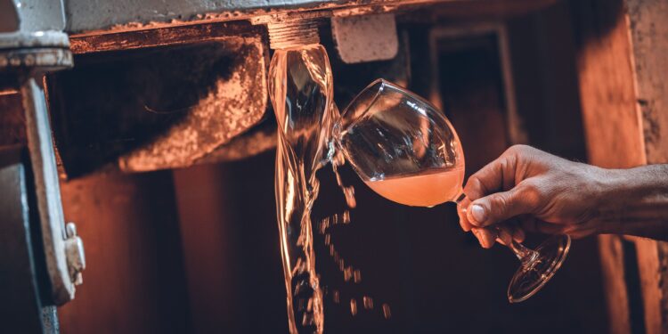 Torna DiVinNosiola, l’appuntamento nel Garda Trentino con il “passito dei passiti”