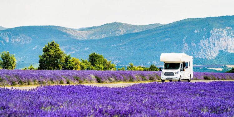 Un campo di fiori fa primavera: slow travel tra le più belle fioriture in Italia