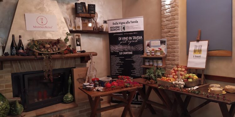 Marche&Wine: undici tappe golose per scoprire il Piceno