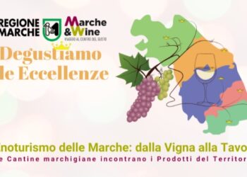 Enoturismo delle Marche: a Monteprandone (AP) i vini per la cucina di mare del Piceno
