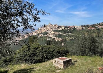 Dal 29 aprile al 1° maggio in Umbria c’è “Pic & Nic a Trevi. Arte, musica e merende tra gli olivi”