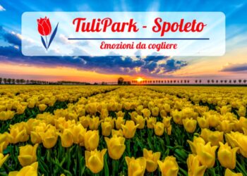 Tulipark: a Spoleto si festeggiano i coloratissimi tulipani