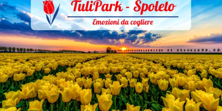 Tulipark: a Spoleto si festeggiano i coloratissimi tulipani
