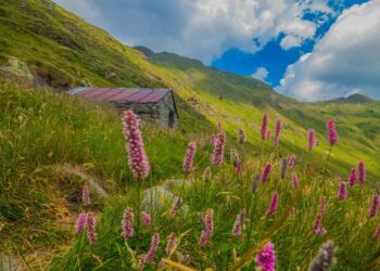In Valle Brembana torna “Le erbe del casaro”: due weekend per celebrare la montagna