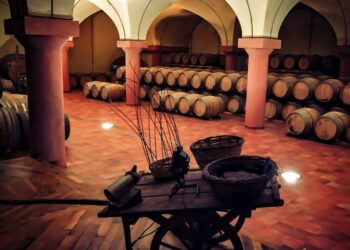 Da sabato 13 maggio con “Decanto” tornano le degustazioni nelle cantine del territorio marchigiano