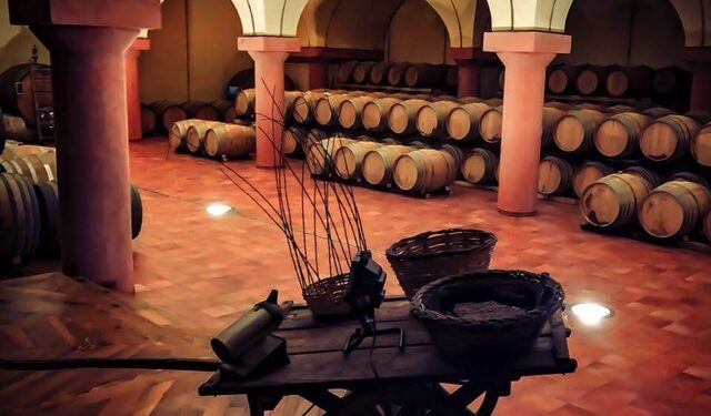 Da sabato 13 maggio con “Decanto” tornano le degustazioni nelle cantine del territorio marchigiano