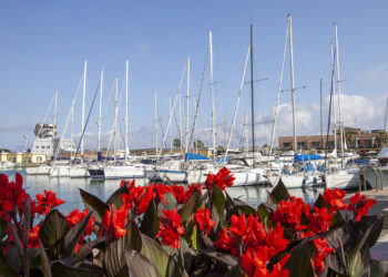 A Genova torna Yacht & Garden: dal 19 al 21 maggio tre giorni dedicati al giardino mediterraneo