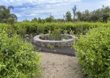 Radicepura Garden Festival: inaugurata a Giarre (CT) la IV edizione del festival del paesaggio mediterraneo