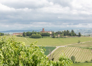 Ricami DiVini: torna in Monferrato l’appuntamento dedicato all’arte del ricamo