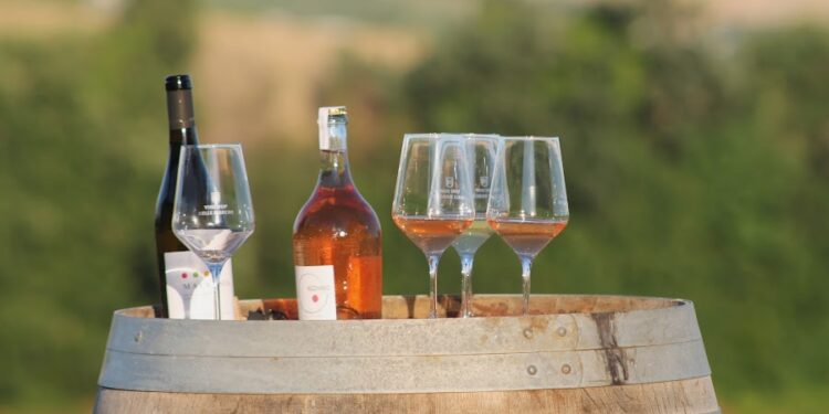 A Sant’Elpidio a Mare (FM) tal 23 al 25 giugno arriva Enosophia