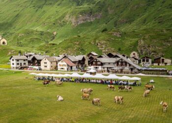 Riale (VB) si tinge di fiori ed è subito festa