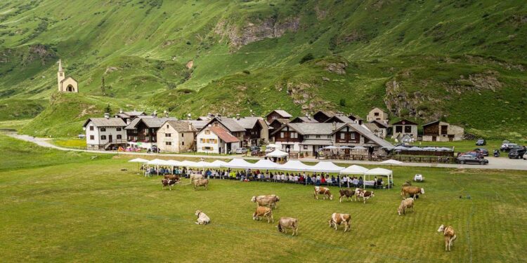 Riale (VB) si tinge di fiori ed è subito festa