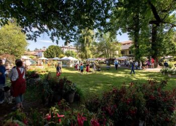 Gli eventi da non perdere nel fine settimana 9-10-11 giugno