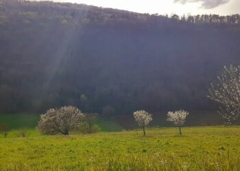 Gli eventi da non perdere nel fine settimana 30 giugno/1-2 luglio