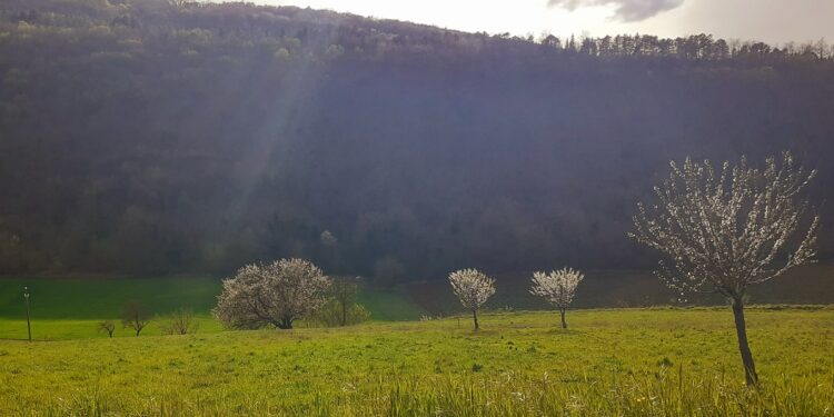 Gli eventi da non perdere nel fine settimana 30 giugno/1-2 luglio