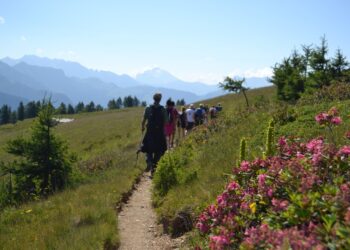 Cheese Trekking: domenica 30 luglio e 27 agosto natura, sapori e tradizioni della Valle Brembana
