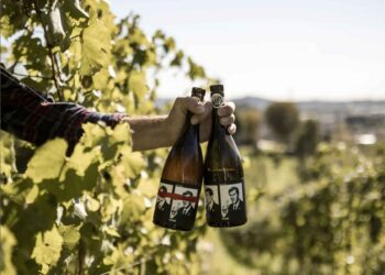 Sabato 15 luglio alla scoperta dei sapori della Valle Brembana con “Un borgo di…vino”