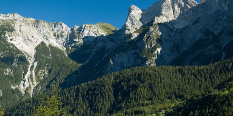Dal 28 al 30 luglio il Festival di Sagron Mis (TN), violini in montagna