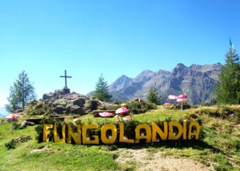 “Fungolandia”: dal 2 al 10 settembre in Valle Brembana torna l’evento dedicato ai funghi