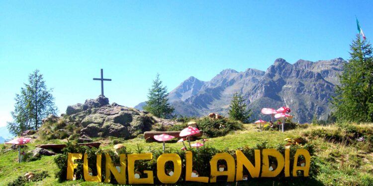 “Fungolandia”: dal 2 al 10 settembre in Valle Brembana torna l’evento dedicato ai funghi