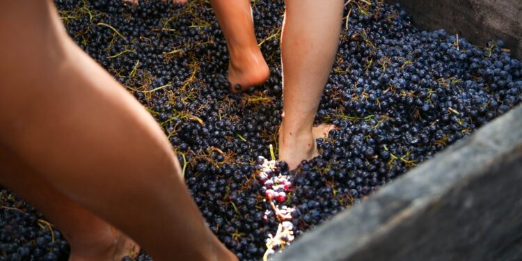 Sabato 9 settembre torna la Festa della Vendemmia al Villaggio Narrante di Fontanafredda (CN)