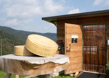 A settembre ad Asiago (VI) “Made in Malga 2023”, due weekend con le bontà della montagna