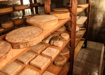 Cheese 2023: a Bra (CN) dal 15 al 18 settembre la festa dei formaggi