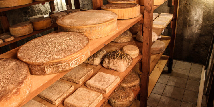 Cheese 2023: a Bra (CN) dal 15 al 18 settembre la festa dei formaggi