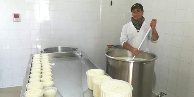 Il 23 e 24 settembre i caseifici italiani aprono le porte ai visitatori