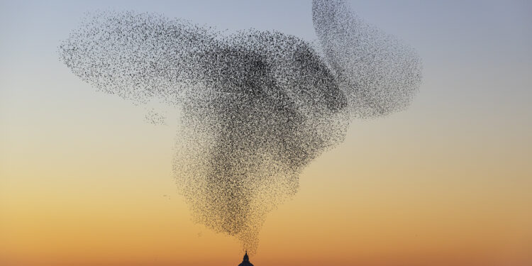 Novembre Nordico: dal 2 al 28 novembre a Roma il festival della cultura scandinava