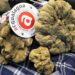 Presentata a Roma la 58^ Fiera del Tartufo di Acqualagna: appuntamento dal 28 ottobre nelle Marche