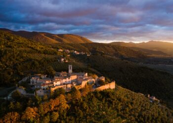 Frantoi Aperti in Umbria: dal 28 ottobre al 26 novembre torna l’evento simbolo dell’oleoturismo