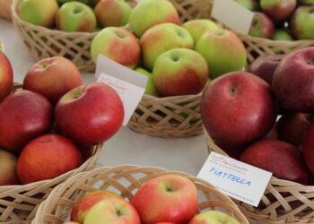 Sabato 14 e domenica 15 ottobre Castel del Giudice (IS) celebra la regina d’autunno con la 6° Festa della Mela