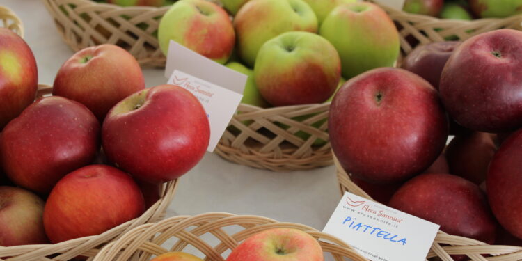 Sabato 14 e domenica 15 ottobre Castel del Giudice (IS) celebra la regina d’autunno con la 6° Festa della Mela