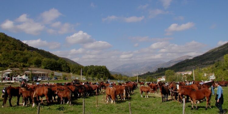A Cantiano (PU) l’8 e il 15 ottobre si festeggia il cavallo