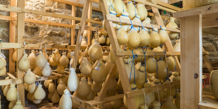 A Messina dal 17 al 19 novembre arriva Mangia e Cambia, la festa della cultura agroalimentare slow