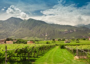 Viaggi green itineranti: 5 gioielli sostenibili in giro per l’Europa