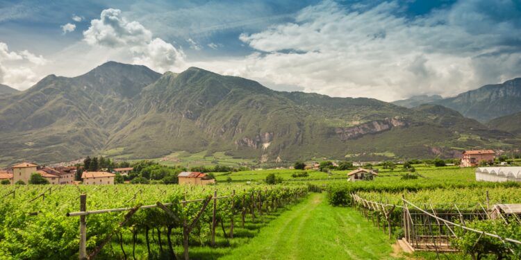 Viaggi green itineranti: 5 gioielli sostenibili in giro per l’Europa