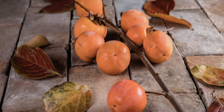 In Istria Slovena dal 10 al 12 novembre la festa dei cachi