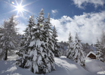 In Carnia un fitto calendario di appuntamenti sulla neve