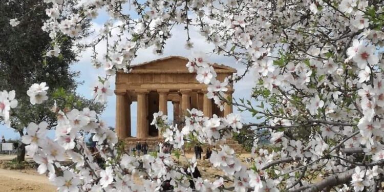 Dal 9 al 17 marzo ad Agrigento torna Mandorlo in Fiore, la festa della primavera