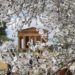 Dal 9 al 17 marzo ad Agrigento torna Mandorlo in Fiore, la festa della primavera