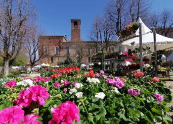 “Ortoflora & Natura”: a Carmagnola (TO) la Mostra Mercato del settore florovivaistico ed orticolo