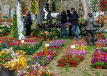 “Ortoflora & Natura”: a Carmagnola (TO) la Mostra Mercato del settore florovivaistico ed orticolo