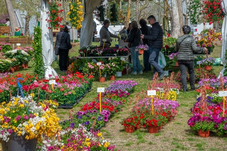“Ortoflora & Natura”: a Carmagnola (TO) la Mostra Mercato del settore florovivaistico ed orticolo