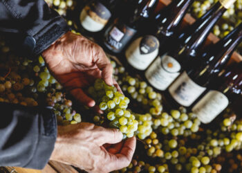 DiVinNosiola 2024: al via un mese di cene, degustazioni ed eventi nella Valle dei Laghi